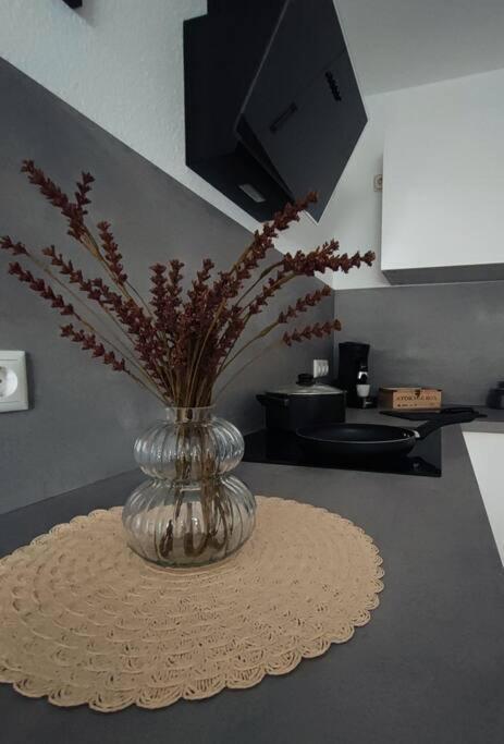 Stylische Altstadtwohnung - Netflix - Smart Tv - Schlafsofa Fuer 3 Personen Erfurt Exteriör bild