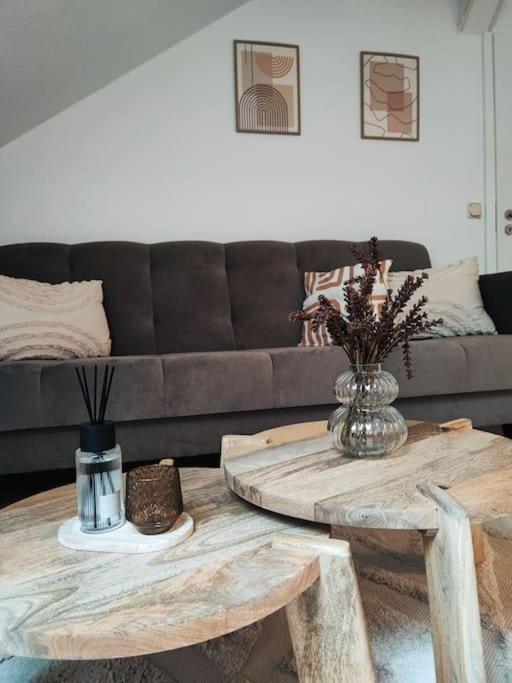 Stylische Altstadtwohnung - Netflix - Smart Tv - Schlafsofa Fuer 3 Personen Erfurt Exteriör bild