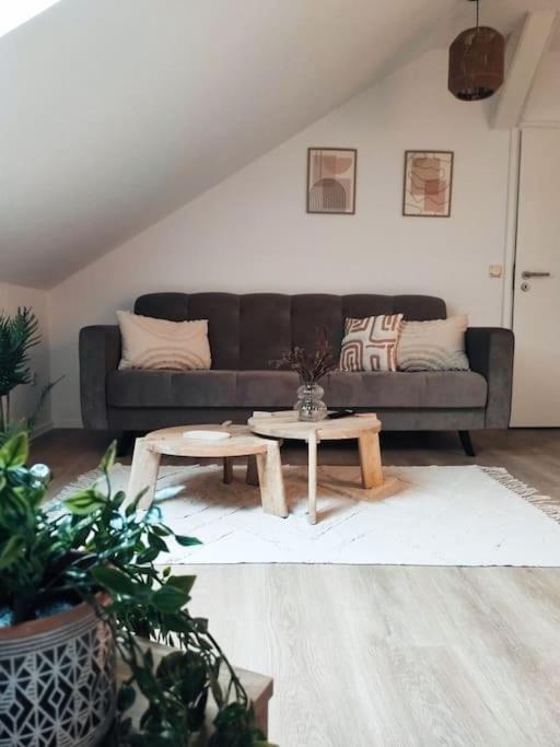 Stylische Altstadtwohnung - Netflix - Smart Tv - Schlafsofa Fuer 3 Personen Erfurt Exteriör bild