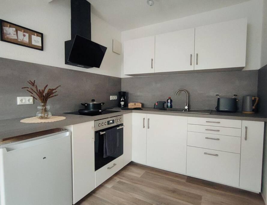 Stylische Altstadtwohnung - Netflix - Smart Tv - Schlafsofa Fuer 3 Personen Erfurt Exteriör bild