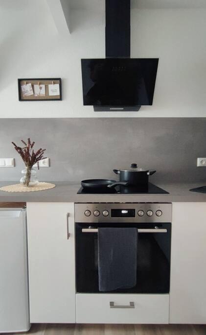 Stylische Altstadtwohnung - Netflix - Smart Tv - Schlafsofa Fuer 3 Personen Erfurt Exteriör bild